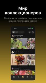 Кукулата: соцсеть о растениях 3.0.0. Скриншот 6