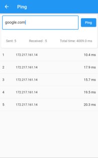 Vernet — Network Analyzer 1.3.2. Скриншот 4