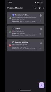 Website Monitor 5.0.0. Скриншот 9