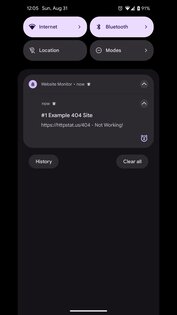 Website Monitor 5.0.0. Скриншот 10