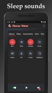 Dream Voices 8.5.8. Скриншот 6