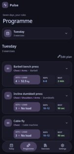 Pulse 0.1.4. Скриншот 2