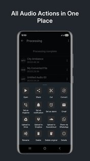 Audio Converter (MP3 AAC OPUS) 24.2. Скриншот 15