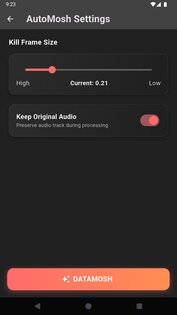 Datamosher Pro 1.0.3. Скриншот 5