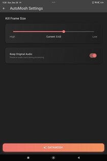 Datamosher Pro 1.0.3. Скриншот 10