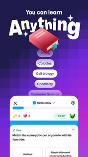 Gizmo: AI Flashcards and Tutor 3.2.91. Скриншот 1