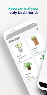 Florae 3.1.0. Скриншот 1