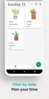 Florae 3.1.0. Скриншот 4