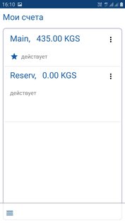 ТУЛПАР 5.19255.bishkek. Скриншот 2