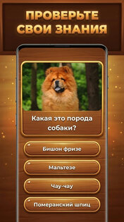 Древо Знаний: Trivia Blocks 2.14.108. Скриншот 10