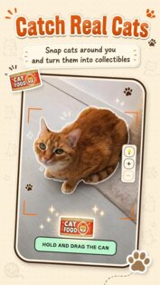 Catch cat. Скриншот 6