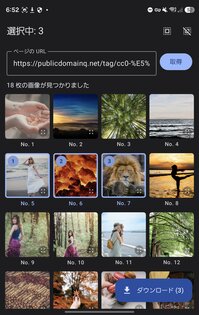 Webby Images Downloader 0.1.1. Скриншот 1