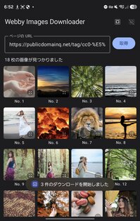 Webby Images Downloader 0.1.1. Скриншот 2