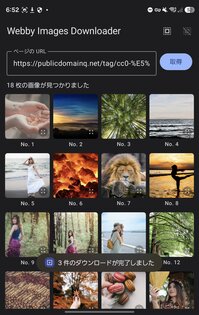 Webby Images Downloader 0.1.1. Скриншот 3