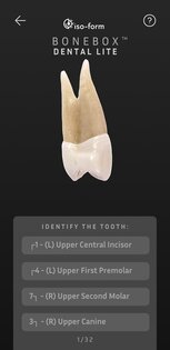 BoneBox – Dental Lite 2.0.2. Скриншот 4