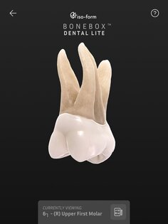 BoneBox – Dental Lite 2.0.2. Скриншот 6