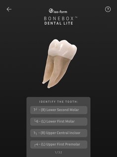 BoneBox – Dental Lite 2.0.2. Скриншот 7