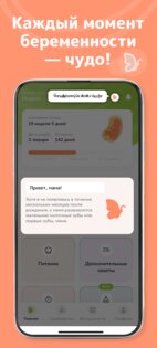 Lalu: Календарь беременности 3.4.4. Скриншот 7