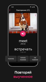 Английский язык. Учить слова 3.16.1. Скриншот 3