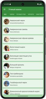 Прогрессивный Утиный манок 0.20.40.0824. Скриншот 2