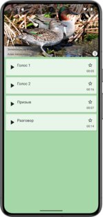 Прогрессивный Утиный манок 0.20.40.0824. Скриншот 3