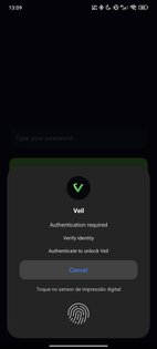 Veil 1.0.0-beta.9. Скриншот 2