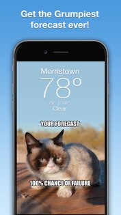 Grumpy Cat Weather 6.2.8. Скриншот 1