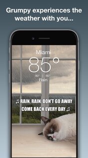 Grumpy Cat Weather 6.2.8. Скриншот 2