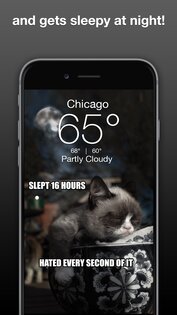 Grumpy Cat Weather 6.2.8. Скриншот 3