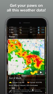 Grumpy Cat Weather 6.2.8. Скриншот 4