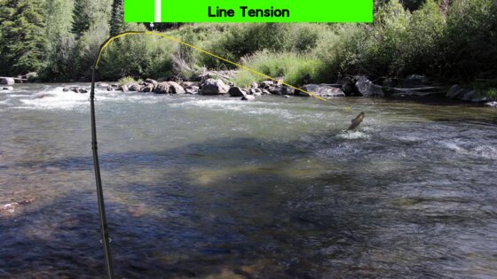 Fly Fishing Simulator HD 5405. Скриншот 7