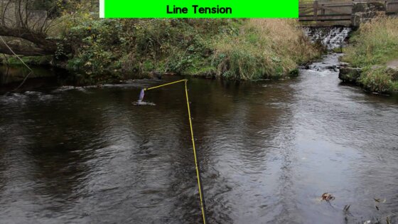Fly Fishing Simulator HD 5405. Скриншот 15