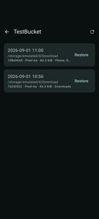 ResticDroid 0.3.0. Скриншот 3