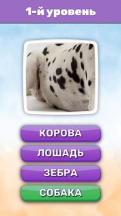 Что это? Викторина 2.8.1. Скриншот 2