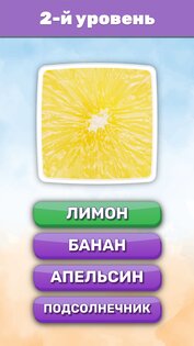 Что это? Викторина 2.8.1. Скриншот 3