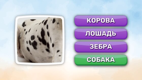 Что это? Викторина 2.8.1. Скриншот 7