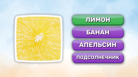 Что это? Викторина 2.8.1. Скриншот 8