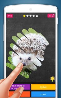 Скретч-карта: Животные 7.2. Скриншот 2