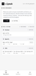 clpeak 3.0.1. Скриншот 1