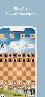 Шахматы 3700.dchess. Скриншот 1