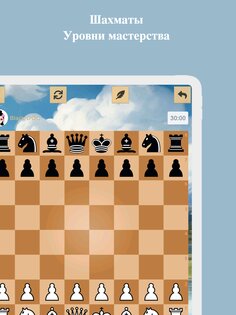 Шахматы 3700.dchess. Скриншот 8