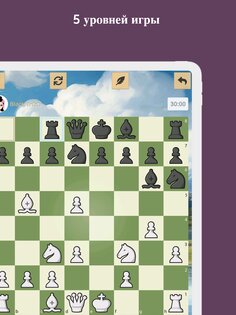 Шахматы 3700.dchess. Скриншот 9