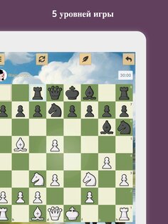 Шахматы 3700.dchess. Скриншот 15