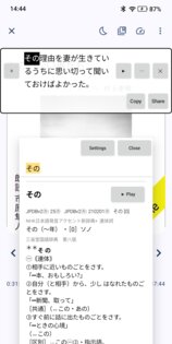 SubRead Overlay 0.5.0. Скриншот 2