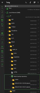 Twig 1.13.1. Скриншот 3