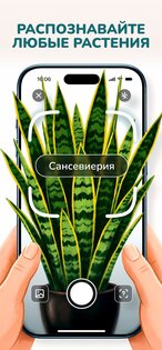 Florum: Определитель растений 2.1.0. Скриншот 2
