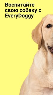 EveryDoggy: Дрессировка и воспитание собак 1.99. Скриншот 1