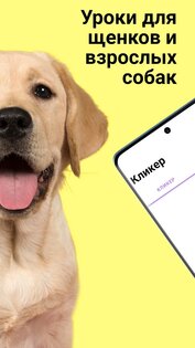 EveryDoggy: Дрессировка и воспитание собак 1.99. Скриншот 2