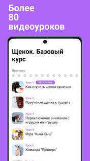 EveryDoggy: Дрессировка и воспитание собак 1.99. Скриншот 5