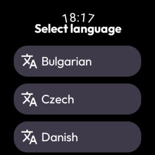 Translator for Wear OS 5.0. Скриншот 5